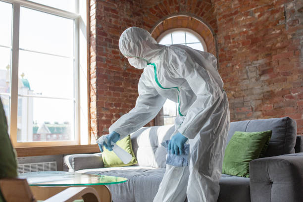 Why You Should Choose Our Mold Remediation Services in Nescopeck, PA